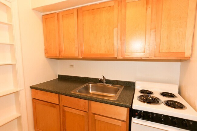 541 W Arlington Pl in Chicago, IL - Foto de edificio - Building Photo