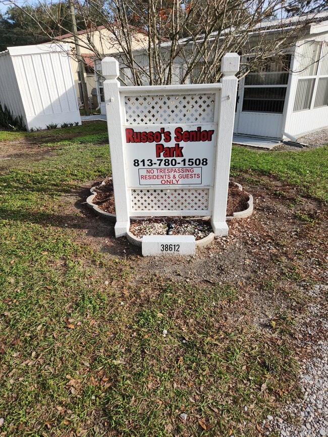 38612 Fir Ave in Zephyrhills, FL - Building Photo - Building Photo