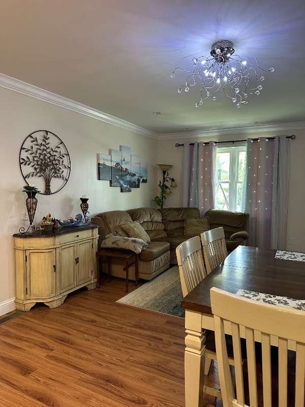41 Eve Dr in Asheville, NC - Building Photo - Building Photo