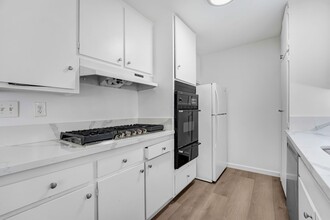 2927 Arizona Ave - near Wilshire Blvd! in Santa Monica, CA - Building Photo - Building Photo