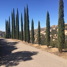 18988 Via Pamela in Jamul, CA - Building Photo - Building Photo