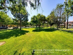 26342 Long St in Loma Linda, CA - Building Photo - Building Photo