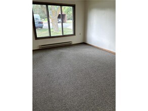 102 Madison Ave N in Battle Lake, MN - Foto de edificio - Building Photo