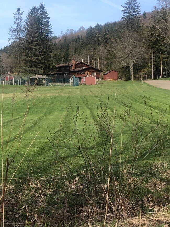 3285 McClure Hollow Rd Rentals in Allegany, NY