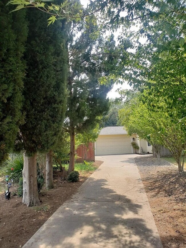 9 Hillary Ln in Chico, CA - Building Photo - Building Photo