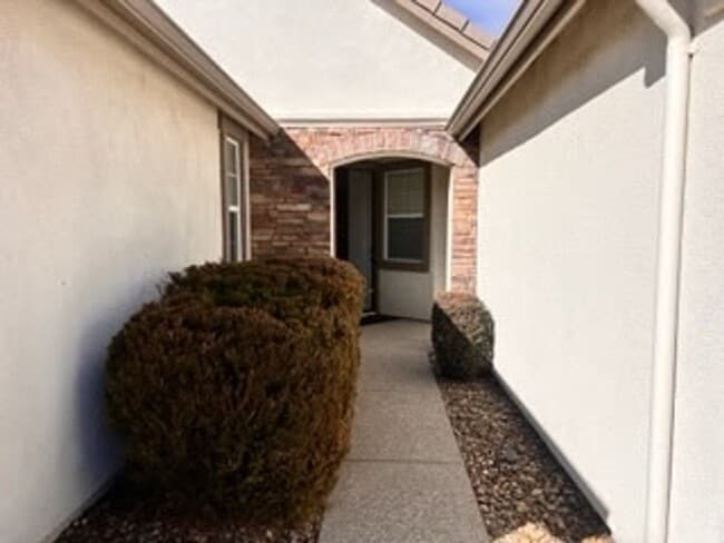 10643 Fire Poppy Cir in Reno, NV - Building Photo - Building Photo