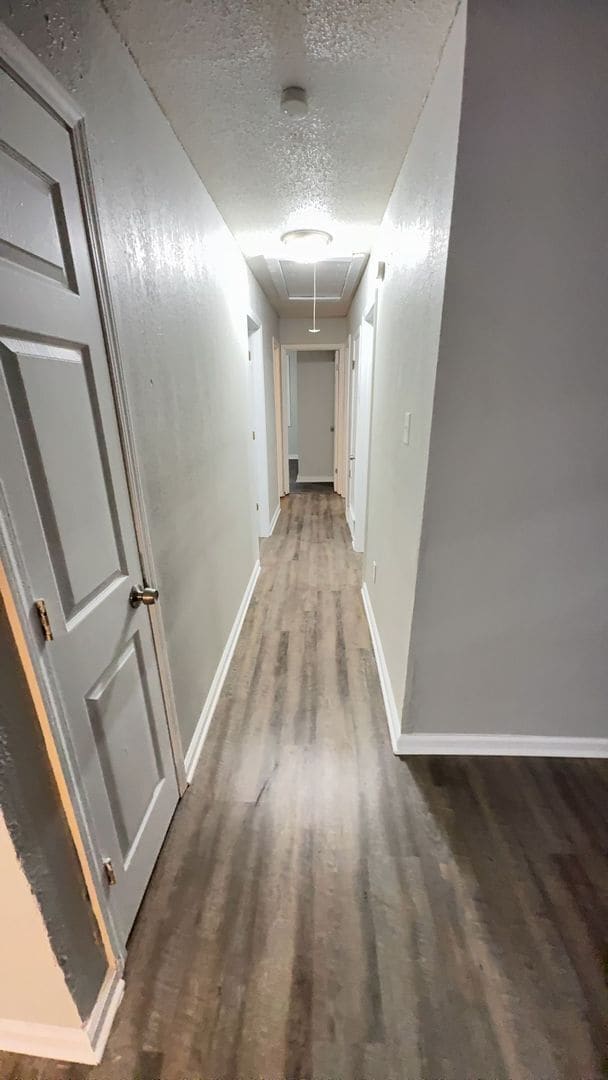 838 Crockett Pl in Memphis, TN - Building Photo - Building Photo