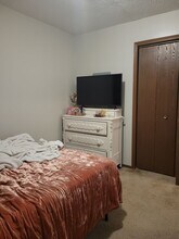 114 S Main St in Bowling Green, OH - Building Photo - Building Photo