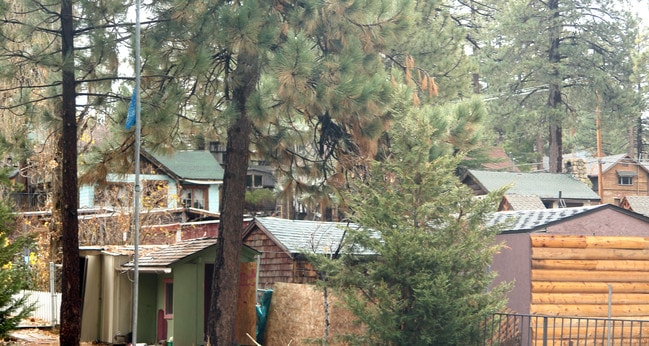 40074 Big Bear Blvd in Big Bear City, CA - Building Photo - Building Photo