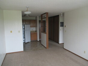 Damax Apartments in Luverne, MN - Building Photo - Building Photo