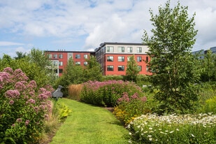 303 Market St in South Burlington, VT - Building Photo