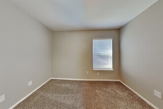 20610 Tulip Blossom Ct in Cypress, TX - Building Photo - Building Photo