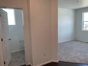 517 Silver Rock Trl in Castle Rock, CO - Building Photo - Building Photo