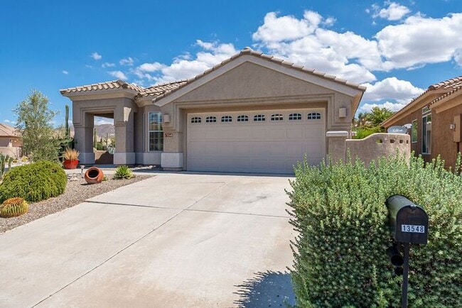 13548 N Buckhorn Cholla Dr in Marana, AZ - Building Photo - Building Photo