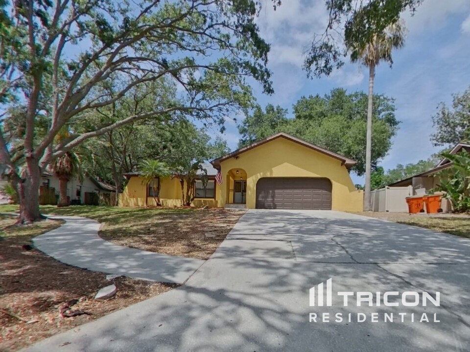 2883 Mandarin Pl in Palm Harbor, FL - Building Photo