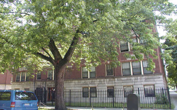 7800 S Phillips Ave in Chicago, IL - Foto de edificio - Building Photo