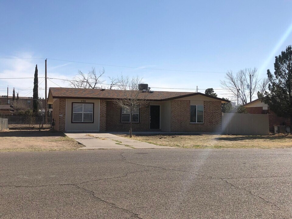 228 Midianite Dr in El Paso, TX - Building Photo