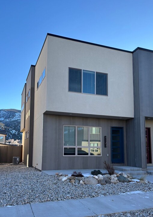 1123 Agate Ln in Poncha Springs, CO - Building Photo