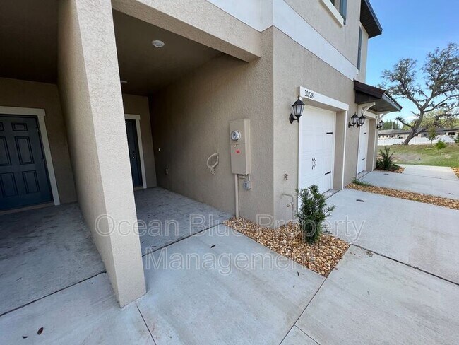 30728 Veridian Way in Wesley Chapel, FL - Building Photo - Building Photo