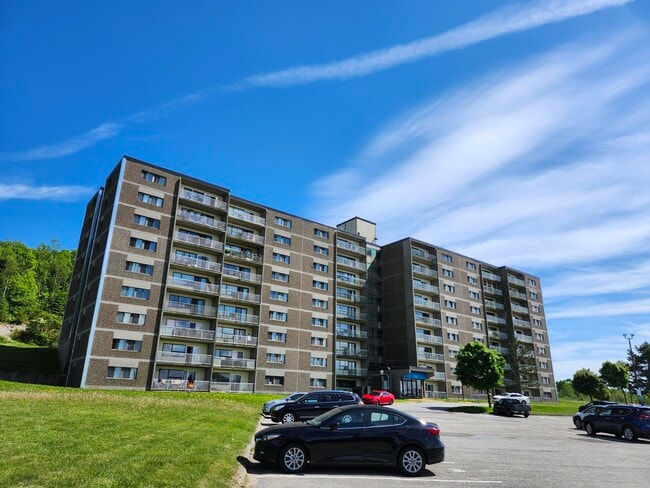 property at 155 Mystery Lake Dr