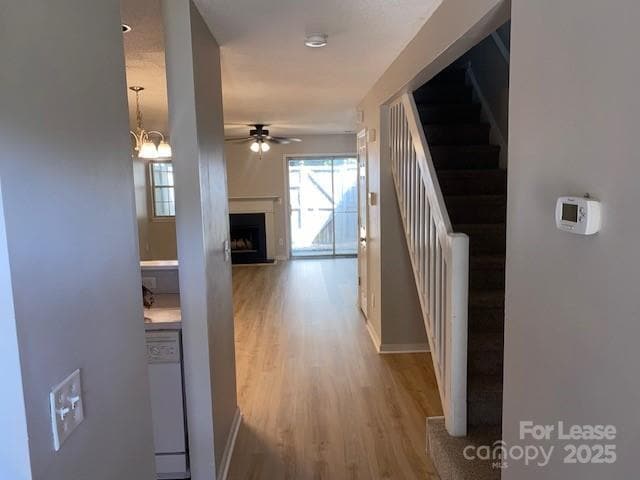 5644 Prescott Ct in Charlotte, NC - Building Photo - Building Photo