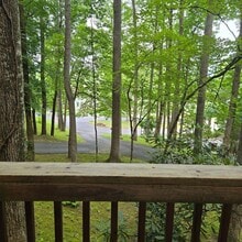 4 Ridgewood Terrace in Johnson City, TN - Building Photo - Building Photo