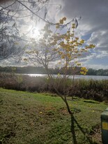 4308 Aqua Vista Dr in Orlando, FL - Building Photo