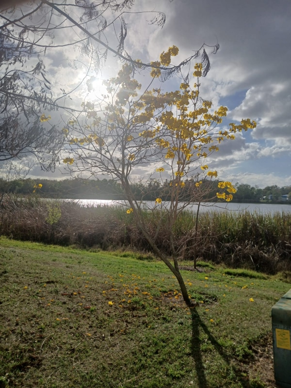 property at 4308 Aqua Vista Dr