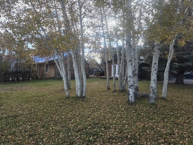 206 S Sublette Ave in Pinedale, WY - Building Photo - Building Photo