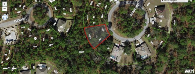 12 Sanders Ct W in Homosassa, FL - Foto de edificio - Building Photo