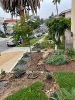 LUXURY LIVING AT AN AFFORDABLE PRICE in Los Angeles, CA - Building Photo