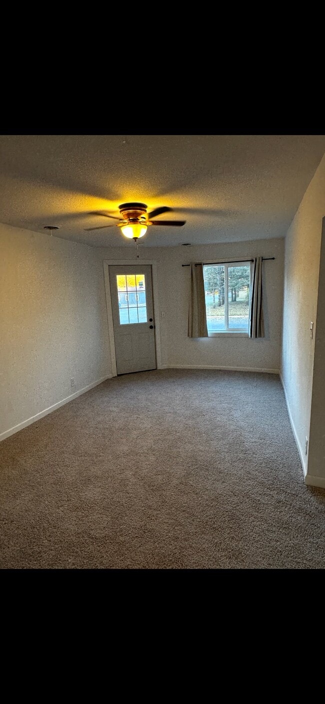 241 N Webster St in Kasota, MN - Building Photo - Building Photo