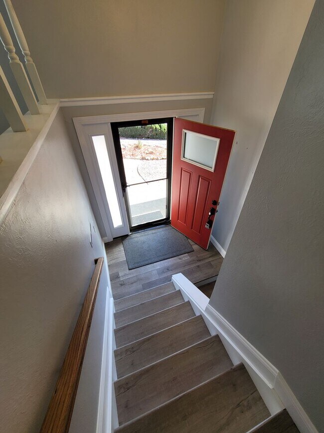 7010 Buckhorn Cir in Colorado Springs, CO - Foto de edificio - Building Photo