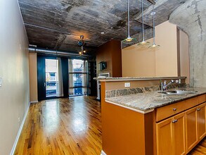 1070 W 15th St-Unit -209 in Chicago, IL - Building Photo - Building Photo