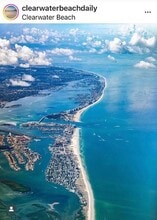 880 Mandalay Ave in Clearwater, FL - Building Photo - Building Photo