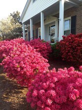 218 Fairway Dr in Shelby, NC - Building Photo - Building Photo