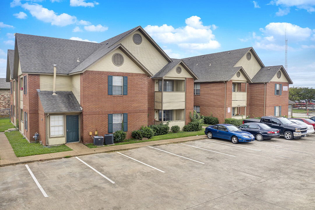 Holly Tree in Denton, TX - Building Photo