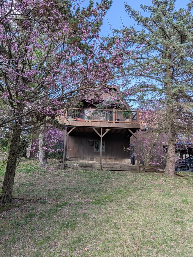 12067 Gearhart Rd, Unit 1 in Burbank, OH - Building Photo - Building Photo