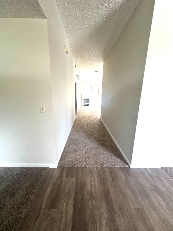 345 Wildberry Ct in Orange Park, FL - Building Photo - Building Photo