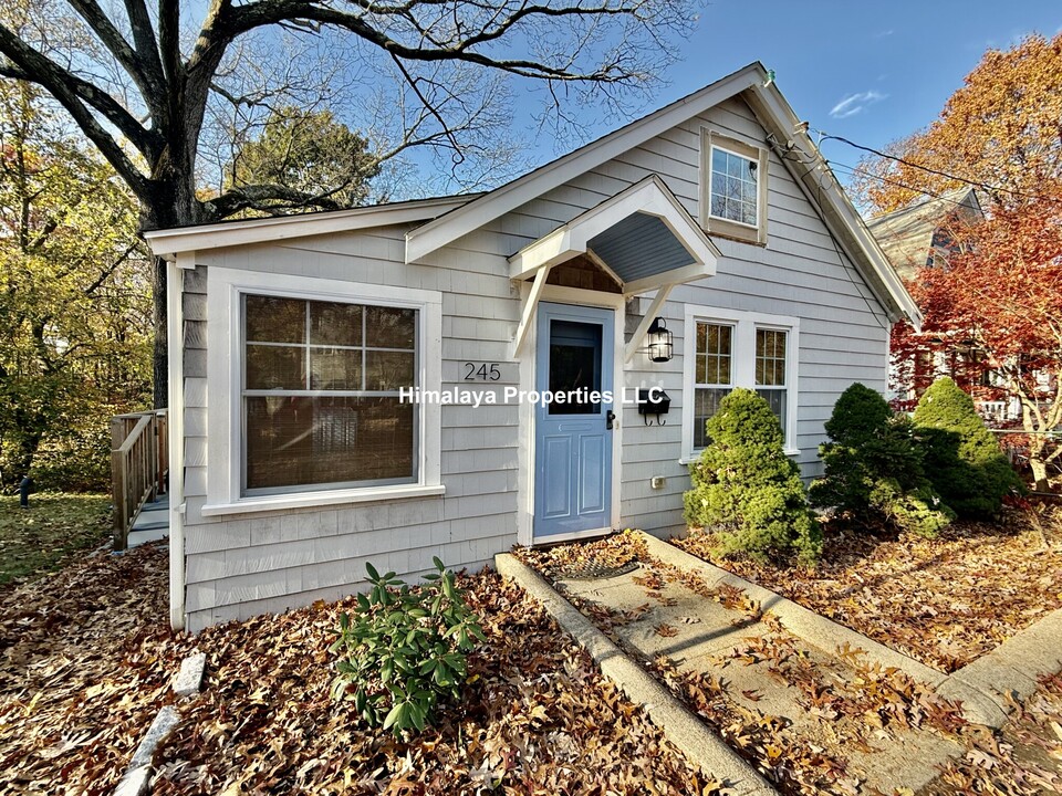 245 Cottage Rd, Unit #SingleHome in Boston, MA - Building Photo