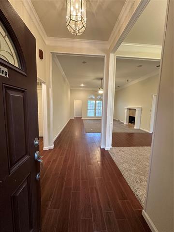 906 Sycamore Creek Rd in Allen, TX - Building Photo - Building Photo