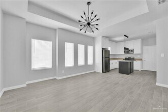 1305 S Xanthia St in Palmhurst, TX - Building Photo - Building Photo