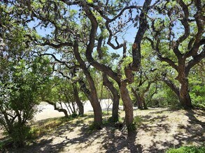11266 PR 37 in Lakehills, TX - Building Photo - Building Photo