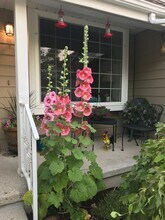 1497 E Spring Leaf Dr in Holladay, UT - Building Photo - Building Photo