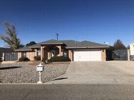 556 Pinar Del Rio Dr in El Paso, TX - Building Photo