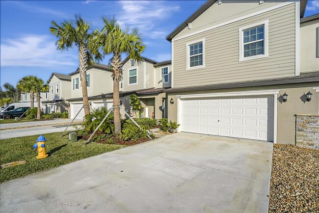 21197 Threadfin Way in Land O Lakes, FL - Building Photo - Building Photo