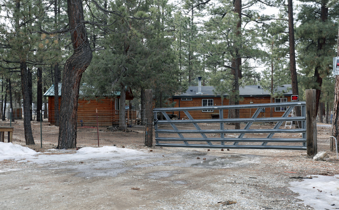 2040 7th Ln in Big Bear City, CA - Building Photo