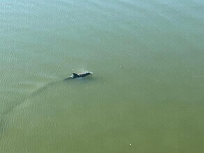 8800 Bay Pines Blvd in St. Petersburg, FL - Building Photo - Building Photo