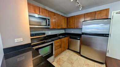 222 E Pearson St in Chicago, IL - Building Photo - Building Photo