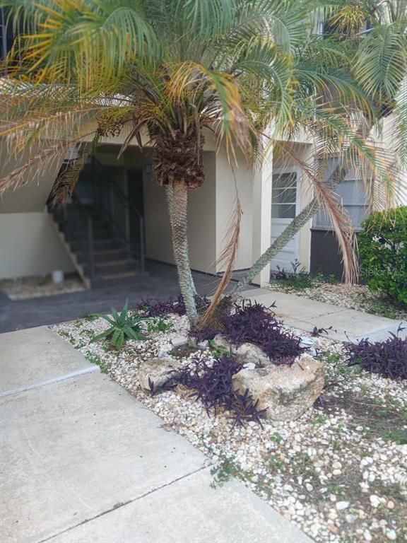 5108 Amulet Dr in New Port Richey, FL - Building Photo - Building Photo